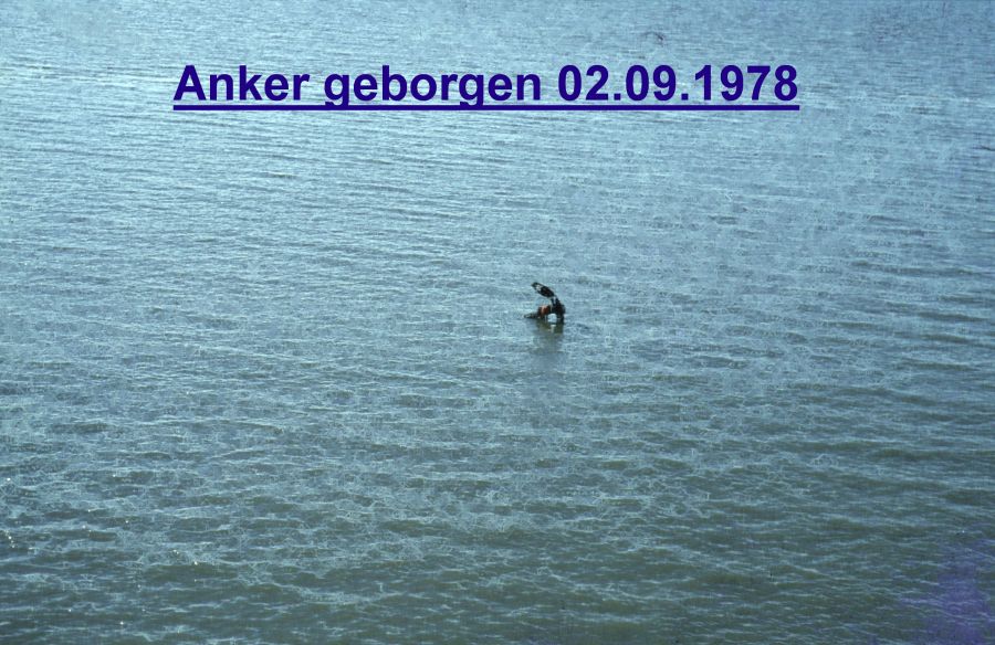 Anker46